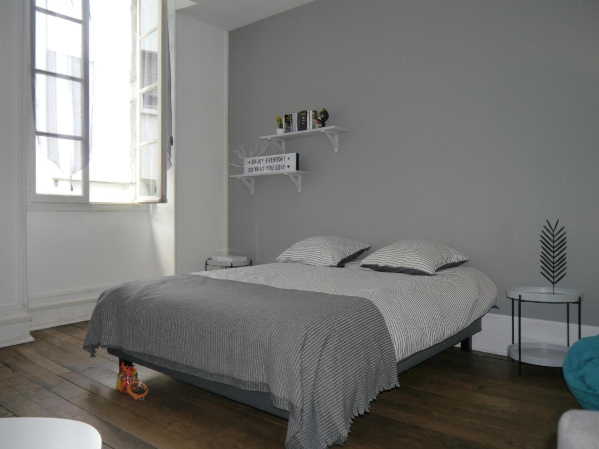 Appartement Hypercentre Tarbes - 2 Grandes Chambres Ngoại thất bức ảnh